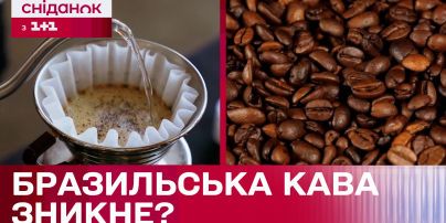 Тыквенный кофе с шоколадом: интересный рецепт осеннего напитка
Тыквенный кофе с шоколадом: интересный рецепт осеннего напитка