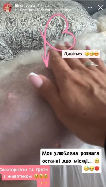 Жена Влада Ямы сделала неожиданное заявление: "У нас пополнение в семье"
Жена Влада Ямы сделала неожиданное заявление: "У нас пополнение в семье"