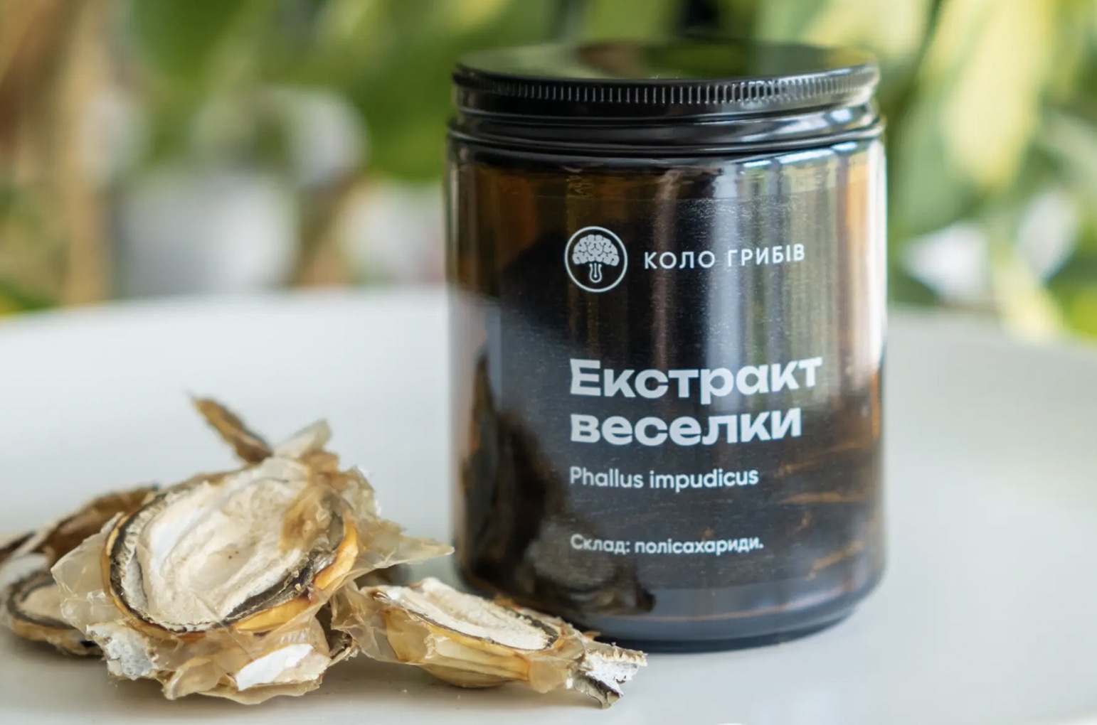 Ефективність гриба Веселки: Унікальний лікувальний засіб для вашого здоров'я