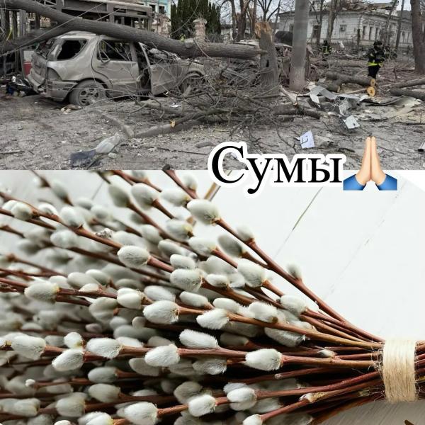 Максим Галкин отреагировал на ракетный удар РФ по Сумам в Вербное воскресенье и довел до истерики россиян