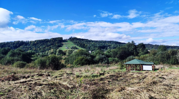 Буковиця влітку: в пошуках мальовничих краєвидів на Львівщині