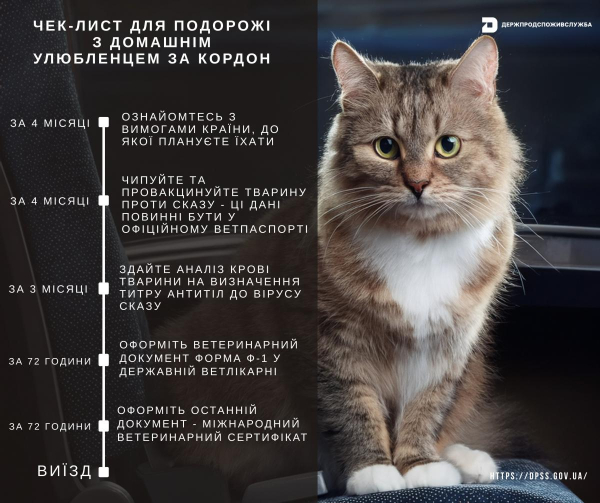 Українцям нагадали правила подорожей з домашніми улюбленцями за кордон Українцям нагадали правила подорожей з домашніми улюбленцями за кордон