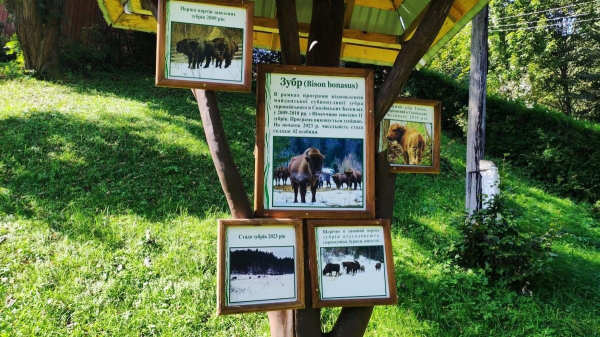 Майдан: колись процвітаюче село на Львівщині, нині ніби застигло у часі (фоторепортаж) Майдан: колись процвітаюче село на Львівщині, нині ніби застигло у часі (фоторепортаж)