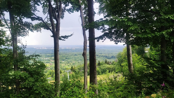 Буковиця: як дійти пішки до мальовничої вершини з Трускавця (фоторепортаж) Буковиця: як дійти пішки до мальовничої вершини з Трускавця (фоторепортаж)