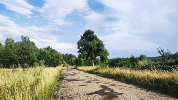 Буковиця: як дійти пішки до мальовничої вершини з Трускавця (фоторепортаж) Буковиця: як дійти пішки до мальовничої вершини з Трускавця (фоторепортаж)