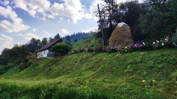 Майдан: колись процвітаюче село на Львівщині, нині ніби застигло у часі (фоторепортаж) Майдан: колись процвітаюче село на Львівщині, нині ніби застигло у часі (фоторепортаж)
