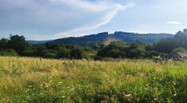 Буковиця: як дійти пішки до мальовничої вершини з Трускавця (фоторепортаж) Буковиця: як дійти пішки до мальовничої вершини з Трускавця (фоторепортаж)