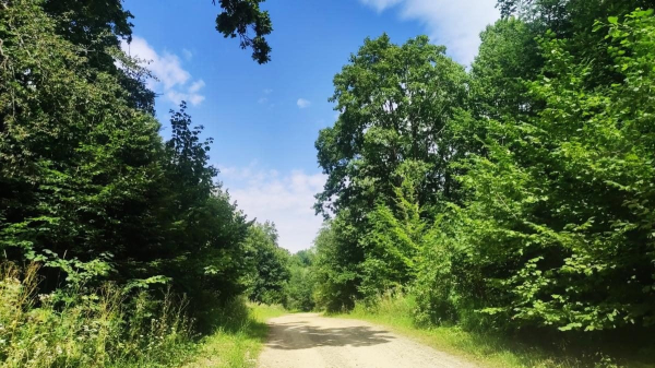 Буковиця: як дійти пішки до мальовничої вершини з Трускавця (фоторепортаж) Буковиця: як дійти пішки до мальовничої вершини з Трускавця (фоторепортаж)