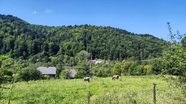 Майдан: колись процвітаюче село на Львівщині, нині ніби застигло у часі (фоторепортаж) Майдан: колись процвітаюче село на Львівщині, нині ніби застигло у часі (фоторепортаж)