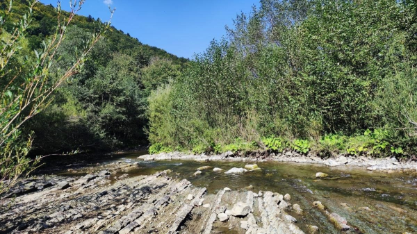 Майдан: колись процвітаюче село на Львівщині, нині ніби застигло у часі (фоторепортаж) Майдан: колись процвітаюче село на Львівщині, нині ніби застигло у часі (фоторепортаж)