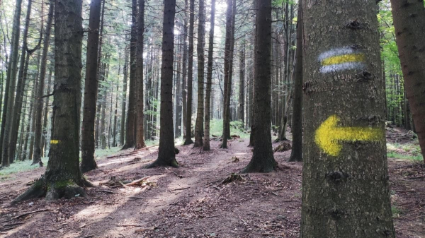 Ямельницькі скелі: блукаючи непрохідними стежками УПА Ямельницькі скелі: блукаючи непрохідними стежками УПА