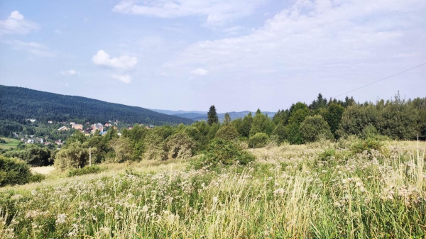 Ямельницькі скелі: блукаючи непрохідними стежками УПА Ямельницькі скелі: блукаючи непрохідними стежками УПА