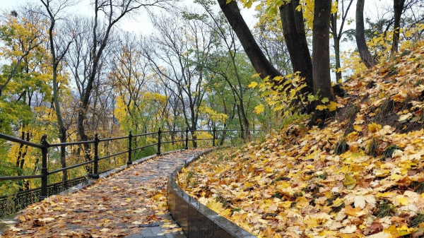 Яскраві фарби та мальовничі краєвиди: чим восени вражає Володимирська гірка у Києві (фото) Яскраві фарби та мальовничі краєвиди: чим восени вражає Володимирська гірка у Києві (фото)