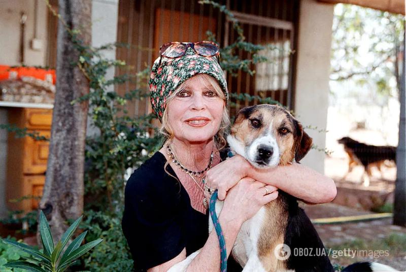 Умерла легенда французского кино Брижит Бардо: ей был 91 год