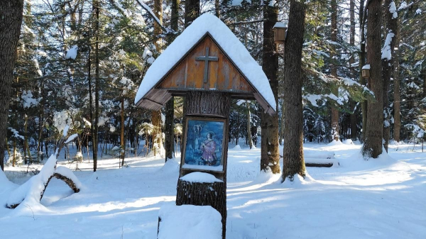 Ліси на Львівщині засипало снігом: це варто побачити (фоторепортаж) Ліси на Львівщині засипало снігом: це варто побачити (фоторепортаж)