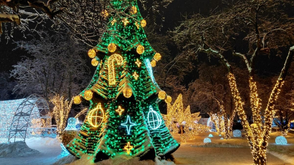 Магія світла: парк вогнів на ВДНГ під снігом засяяв по-новому (фоторепортаж, відео) Магія світла: парк вогнів на ВДНГ під снігом засяяв по-новому (фоторепортаж, відео)