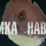 Где можно бесплатно посмотреть сериал «Тихая Нава», который стремительно набирает популярность
