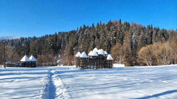 Зимова Тустань: казкові безлюдні краєвиди, але доїхати самостійно важко Зимова Тустань: казкові безлюдні краєвиди, але доїхати самостійно важко
