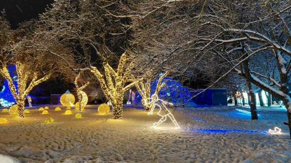 Магія світла: парк вогнів на ВДНГ під снігом засяяв по-новому (фоторепортаж, відео) Магія світла: парк вогнів на ВДНГ під снігом засяяв по-новому (фоторепортаж, відео)