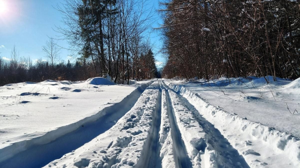 Ліси на Львівщині засипало снігом: це варто побачити (фоторепортаж) Ліси на Львівщині засипало снігом: це варто побачити (фоторепортаж)