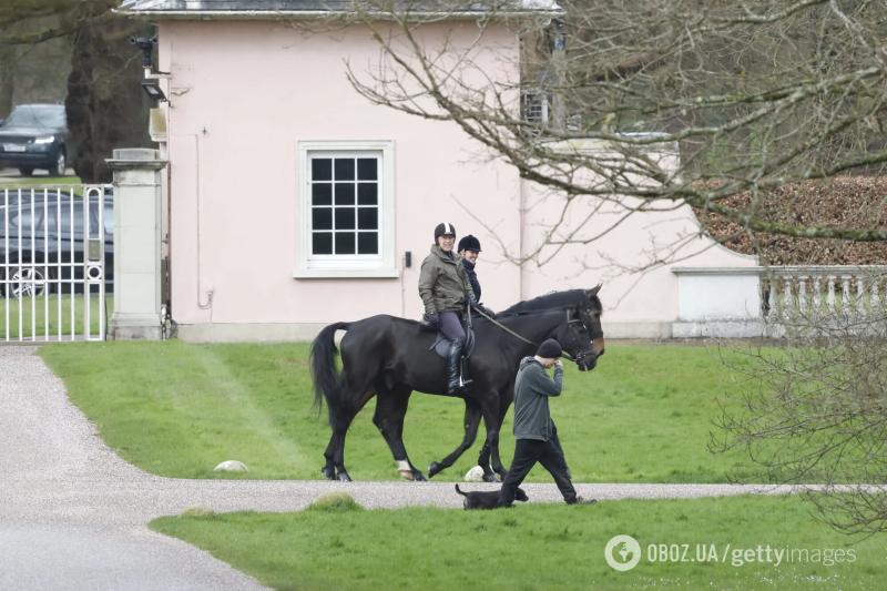 Скандальный брат короля Чарльза ІІІ остался без любимого хобби из-за связей с Эпштейном