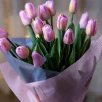 Прикольные картинки к 8 марта: как оригинально поздравить близких и друзей