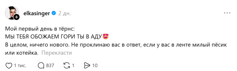 "Вы пожалеете, что сюда зашли". Елка зарегистрировалась в "запрещенной" соцсети и стала мишенью для украинцев: как она им ответила