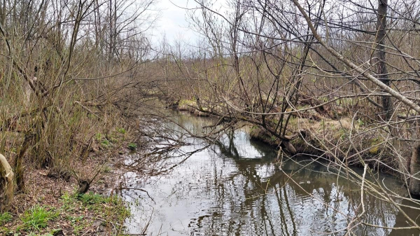 Доброгостів: розслабляючий похід до мальовничого озера з Трускавця Доброгостів: розслабляючий похід до мальовничого озера з Трускавця