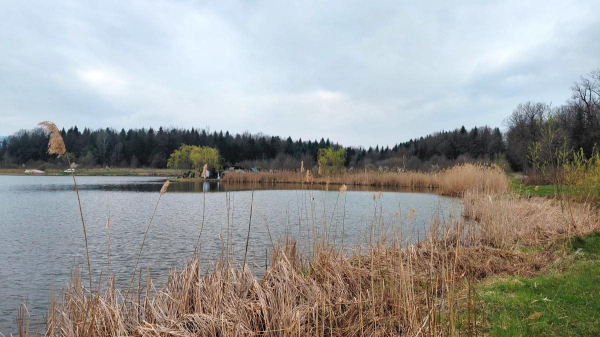 Доброгостів: розслабляючий похід до мальовничого озера з Трускавця Доброгостів: розслабляючий похід до мальовничого озера з Трускавця