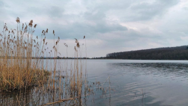 Доброгостів: розслабляючий похід до мальовничого озера з Трускавця Доброгостів: розслабляючий похід до мальовничого озера з Трускавця