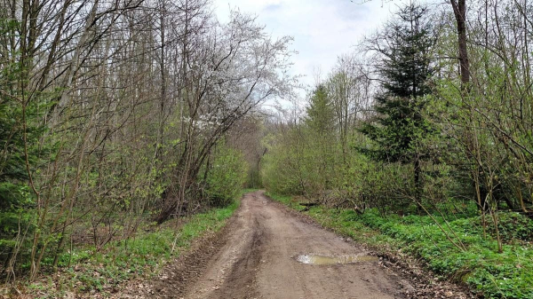 Доброгостів: розслабляючий похід до мальовничого озера з Трускавця Доброгостів: розслабляючий похід до мальовничого озера з Трускавця