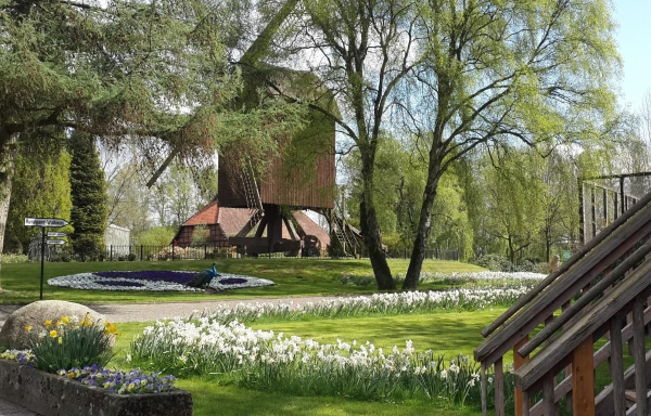 Гамбург: прихована перлина на півночі Німеччини на заміну переповненому Берліну Гамбург: прихована перлина на півночі Німеччини на заміну переповненому Берліну