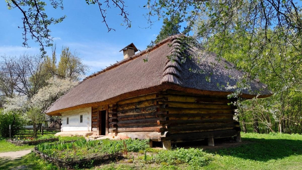 Садок вишневий коло хати: травень – ідеальний час завітати до музею в Пирогові (фоторепортаж) Садок вишневий коло хати: травень – ідеальний час завітати до музею в Пирогові (фоторепортаж)