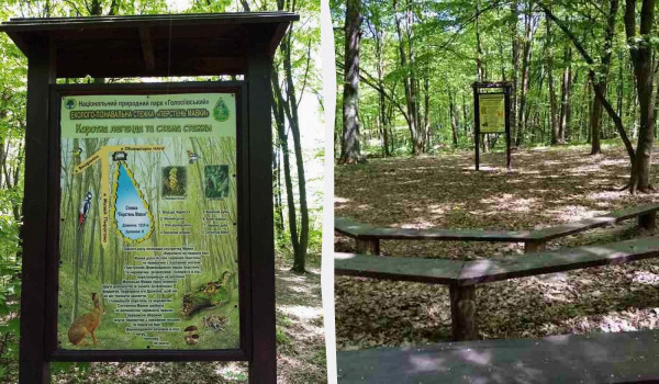 В столичному Голосіївському лісі з'явилася нова екостежка, що ідеально підходить для дітей В столичному Голосіївському лісі з'явилася нова екостежка, що ідеально підходить для дітей