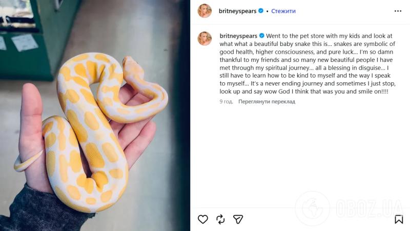 Бритни Спирс впервые вышла на связь после избежания ареста за пьяную езду: звезда назвала инцидент "благословением"
