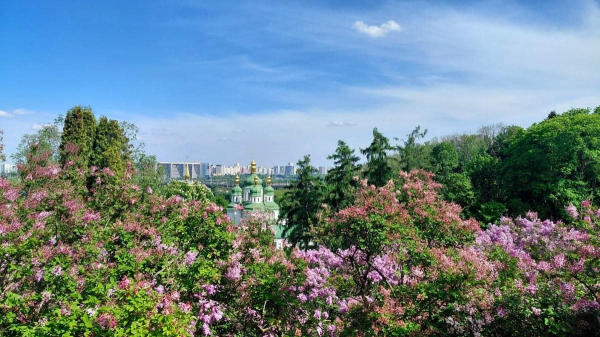Не проштовхнутися: у київському ботсаду ажіотаж через цвітіння бузку (фоторепортаж) Не проштовхнутися: у київському ботсаду ажіотаж через цвітіння бузку (фоторепортаж)