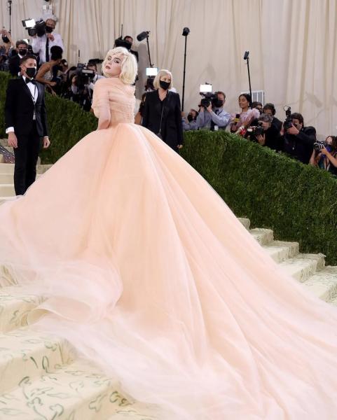 Без петрушки и селфи в туалете: самые странные запреты Met Gala и сколько стоит провести вечер среди самых известных звезд