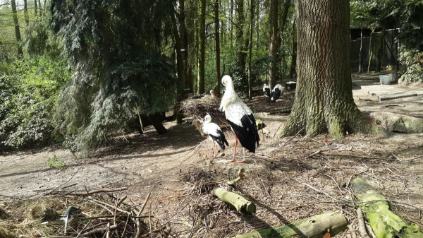 Гамбург: прихована перлина на півночі Німеччини на заміну переповненому Берліну Гамбург: прихована перлина на півночі Німеччини на заміну переповненому Берліну
